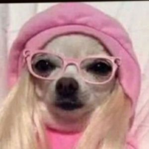 Meet your Posher, Marina